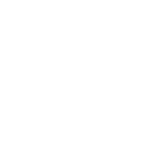 Case Studies